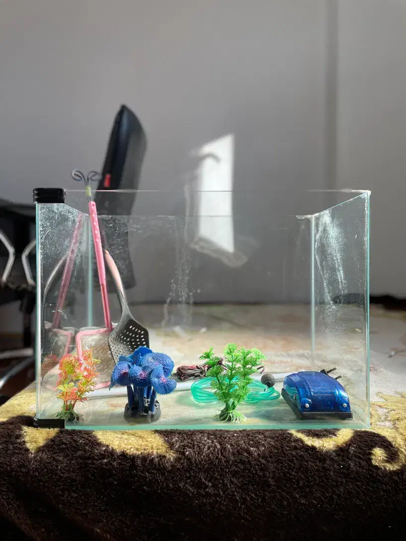 آکواریوم شیشه منحنی|ماهی|قم, پردیسان|دیوار