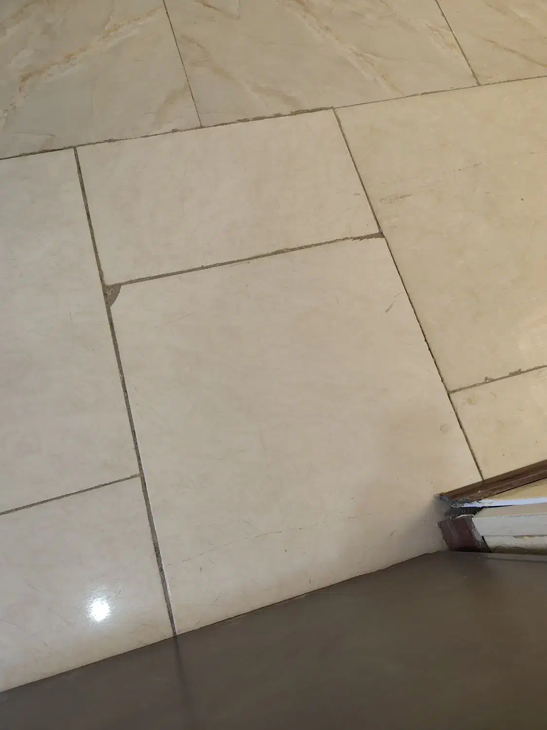 زمین مشاع باسند تک برگ|فروش زمین و ملک کلنگی|سیب و سوران, |دیوار