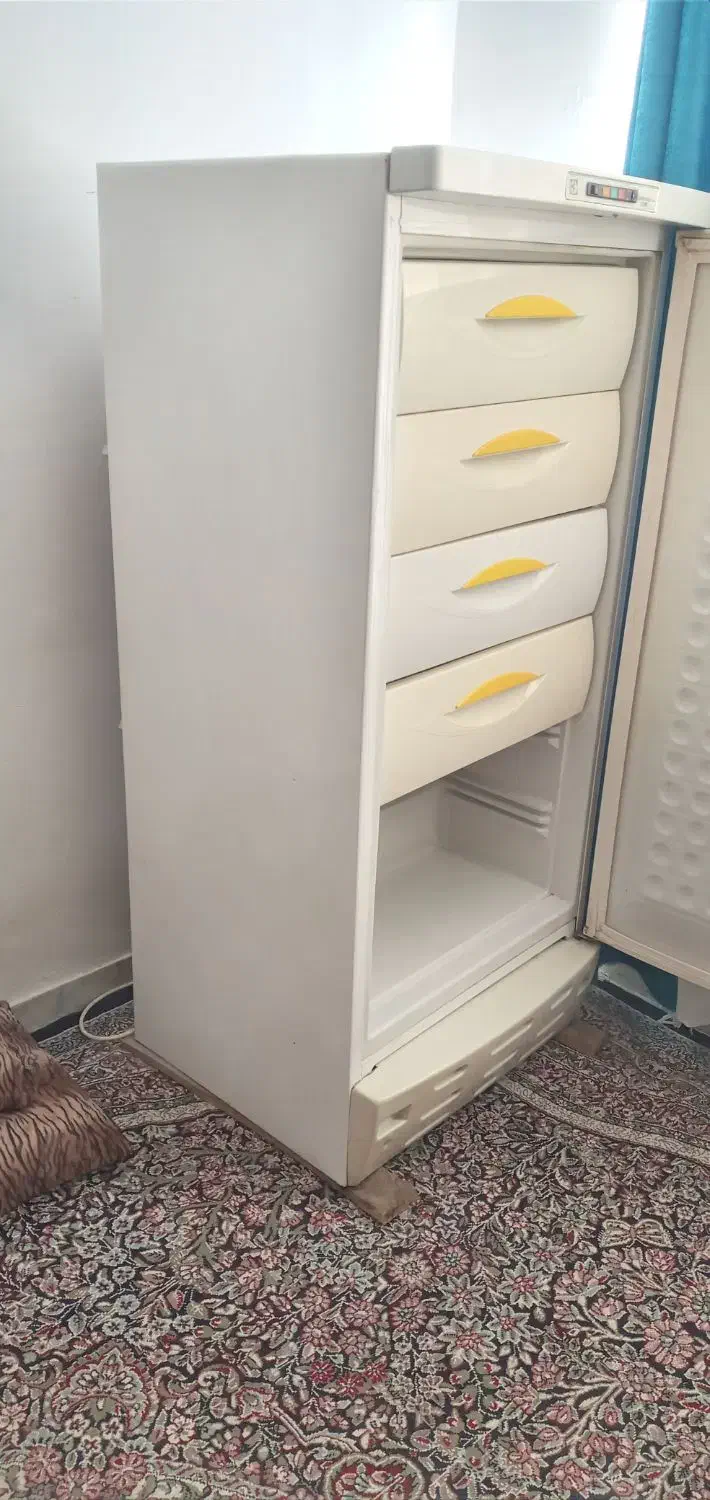 فریزر|یخچال و فریزر|زرند, |دیوار