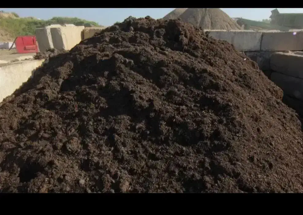 کود حیوانی گاوی|خدمات باغبانی و درختکاری|قوچان, |دیوار