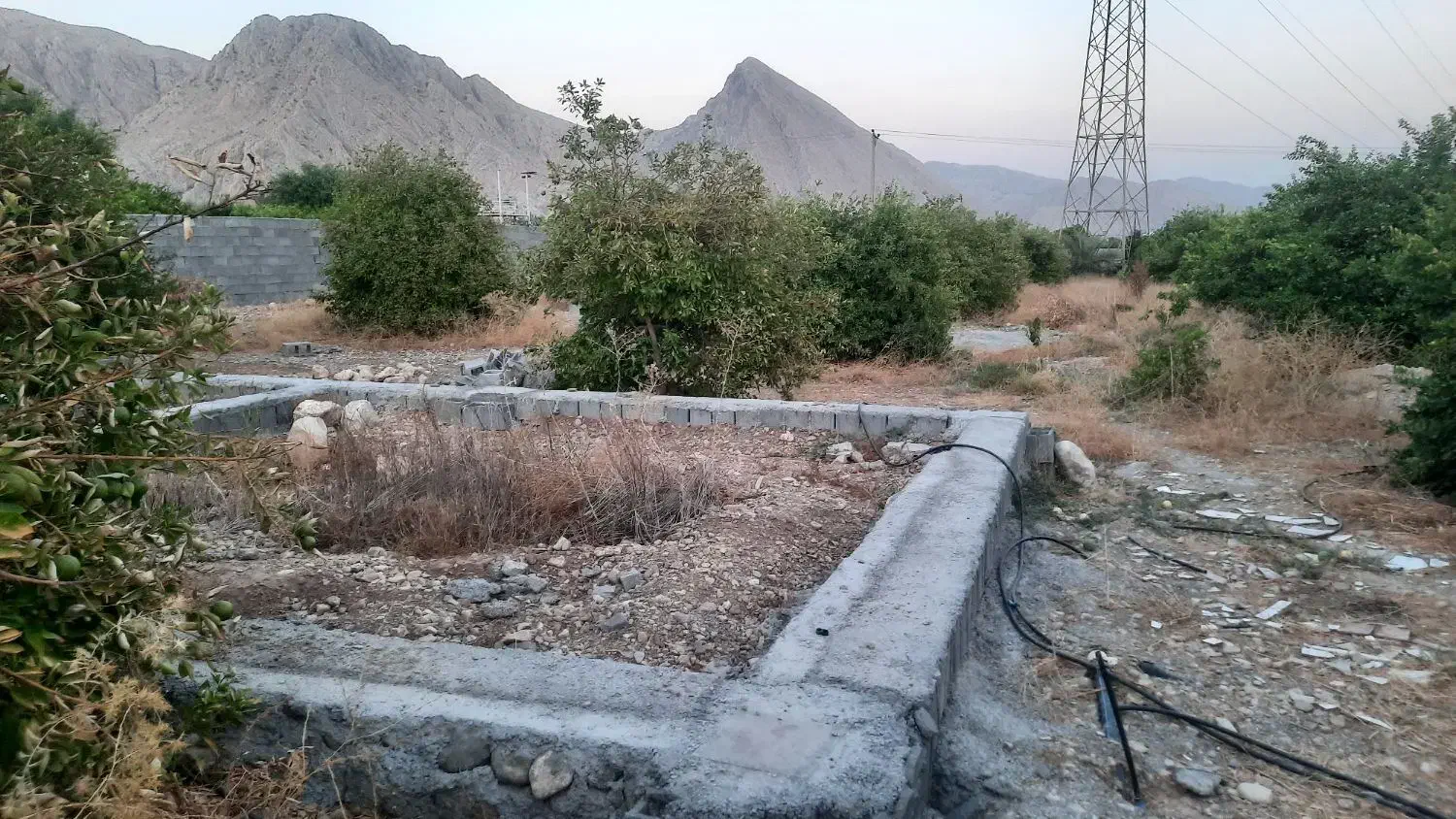 فروش باغ تلخاب|فروش دفتر صنعتی، کشاورزی، تجاری|دوگنبدان, |دیوار