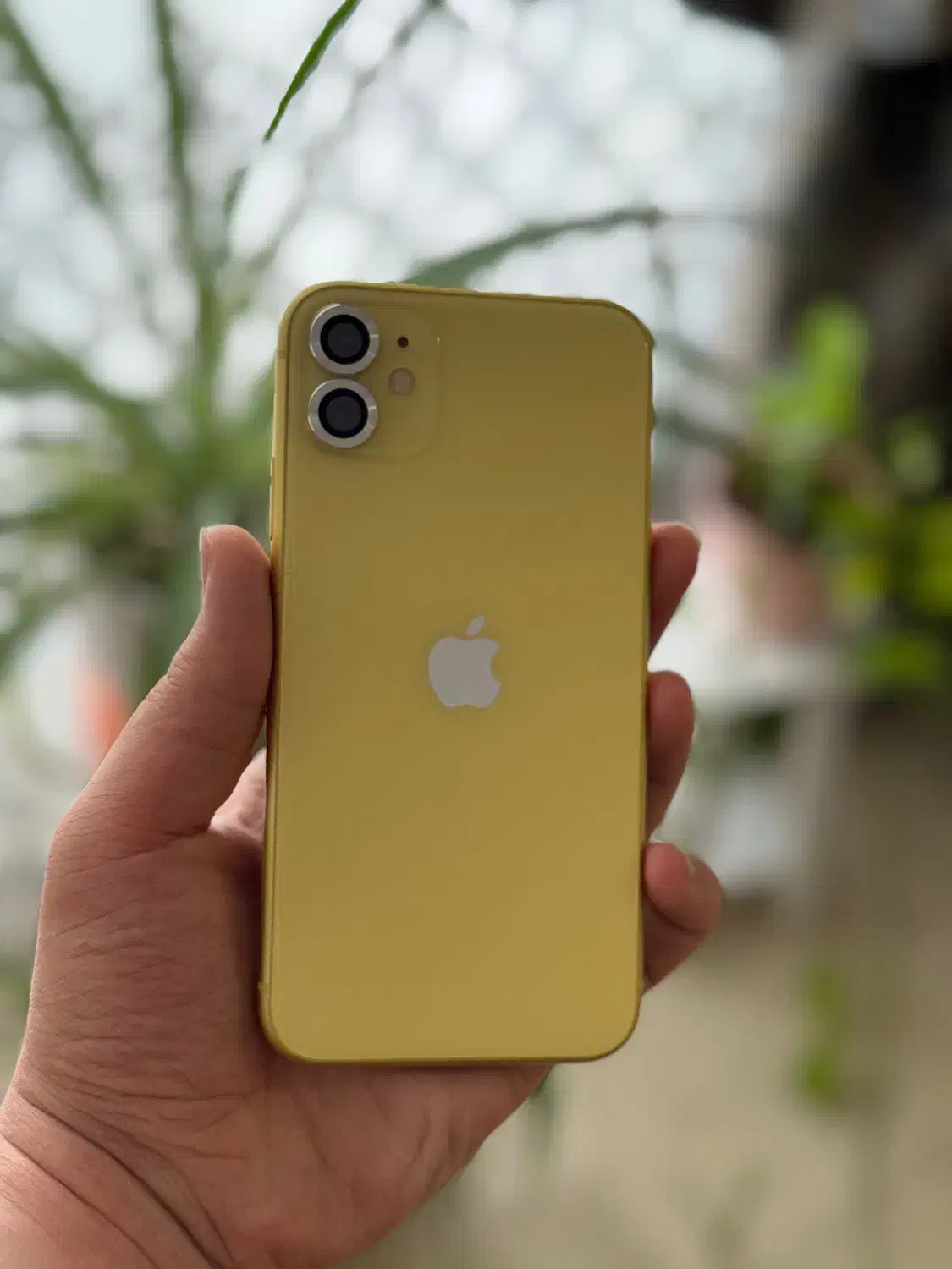 iPhone 11 لیمویی خاص|موبایل|تهران, شکوفه|دیوار
