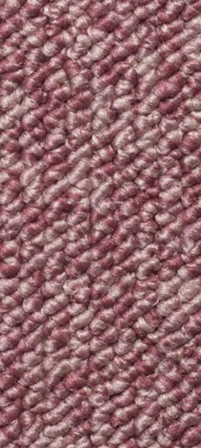 موکت پالاز|موکت|فسا, |دیوار