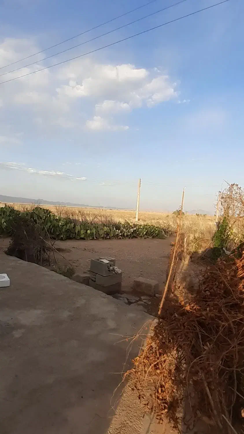 کار .خانه|خدمات نظافت|سیرجان, |دیوار