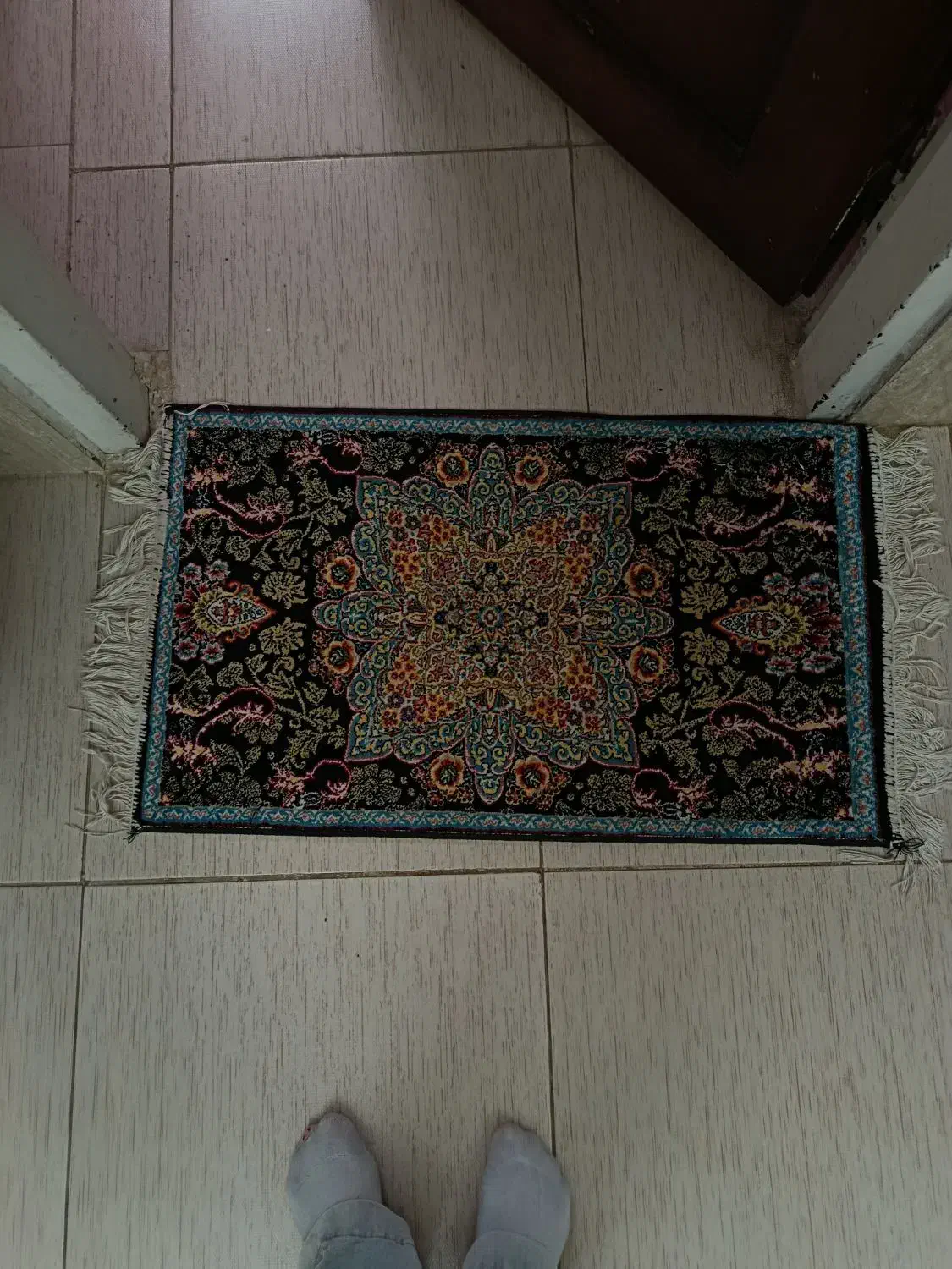 دوتخته فرش6متری وپادری|فرش|بومهن, |دیوار