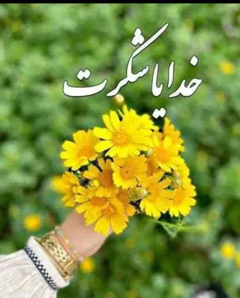 کارت به نام زینب صیادی گمشده|اشیا|نظرآباد, رسالت|دیوار