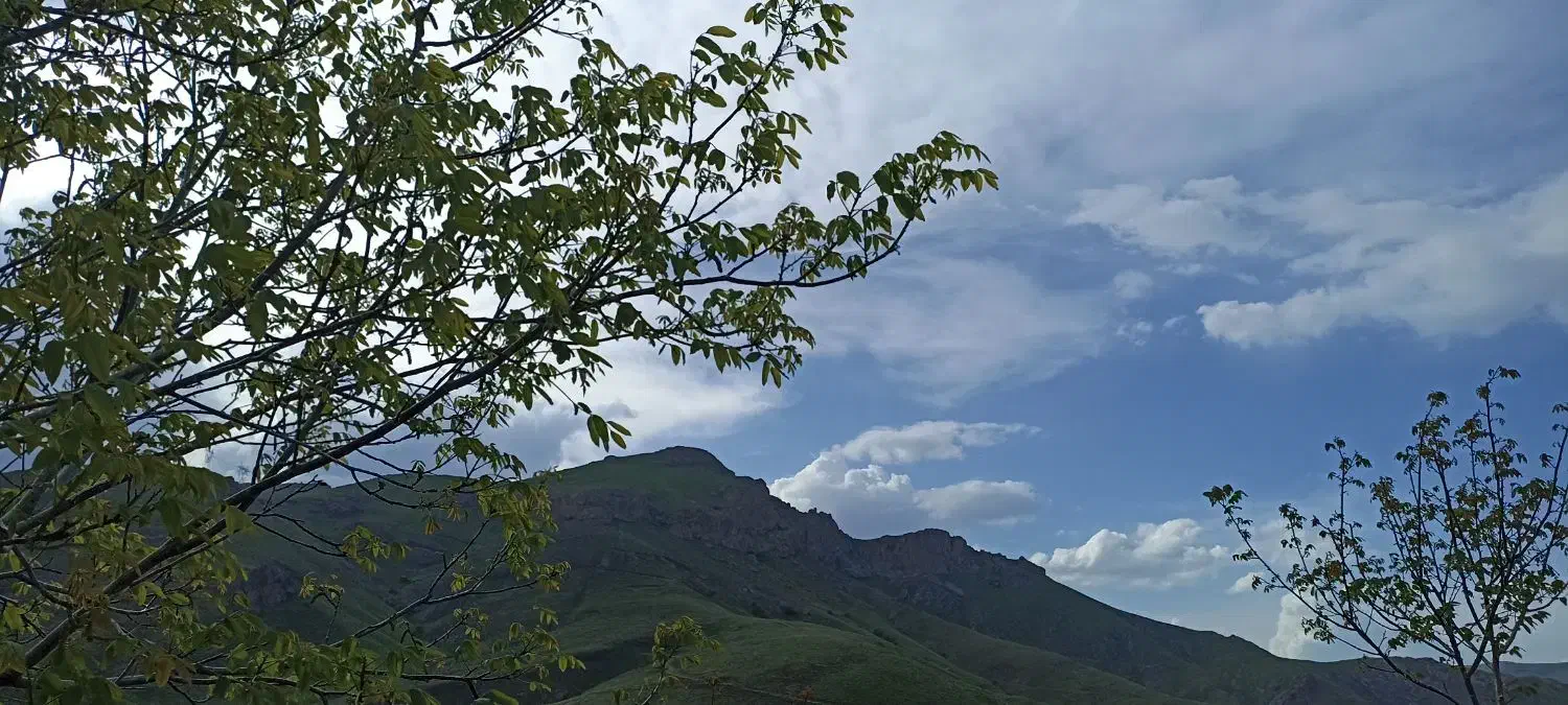 داوطلبانه|فعالیت داوطلبانه|زنجان, |دیوار