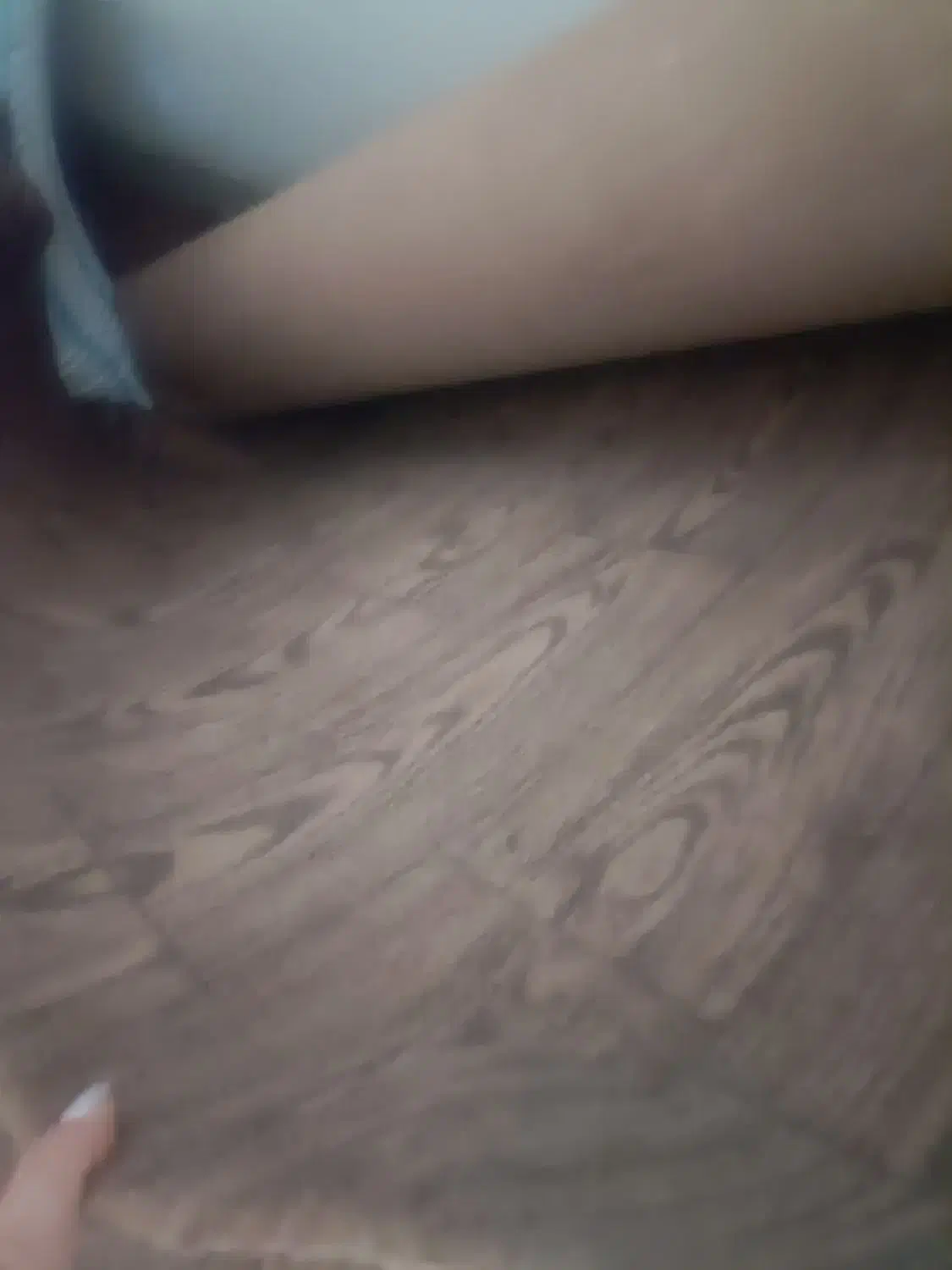 موکت|موکت|شیراز, منطقه هوایی شهید دوران|دیوار