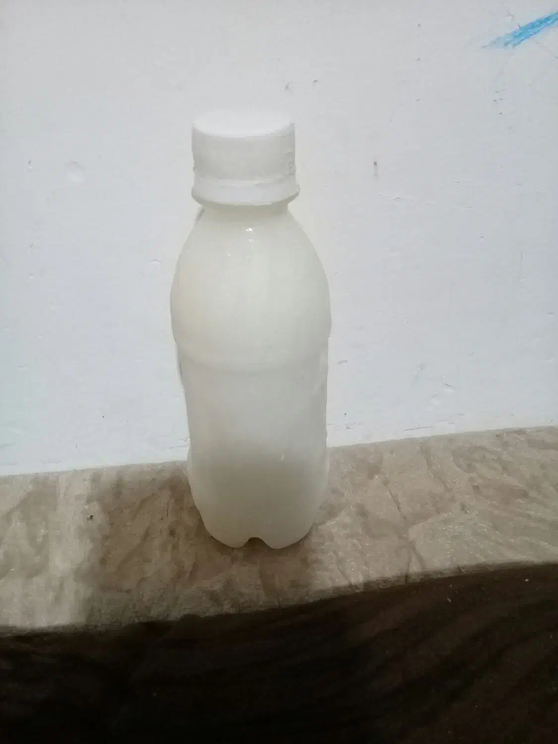 شیرالاغ در حضور مشتری دوشید میشود|خوردنی و آشامیدنی|قزوین, |دیوار