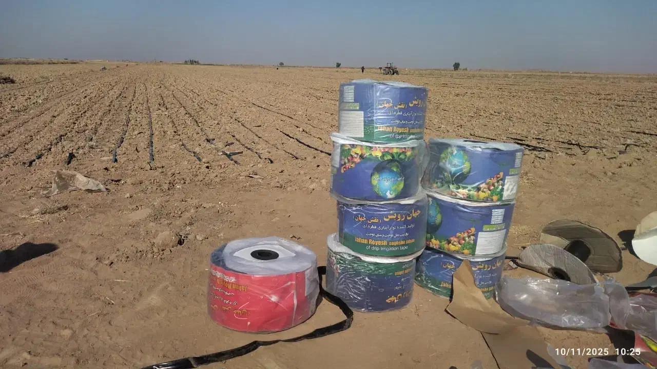 تولیدنوارتیپ باکیفیت|خدمات باغبانی و درختکاری|سیستان, |دیوار