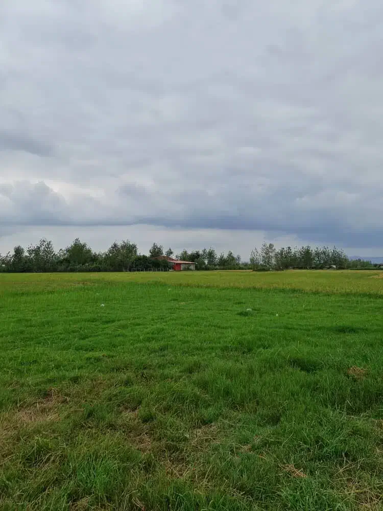 فروش بیجار در شفت|فروش زمین و ملک کلنگی|شفت, |دیوار