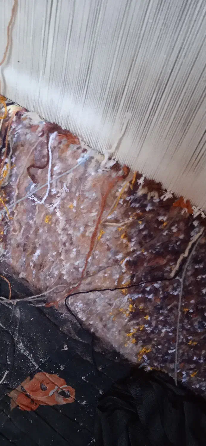 فرش دستباف نیمه کاره|فرش|خوی, |دیوار