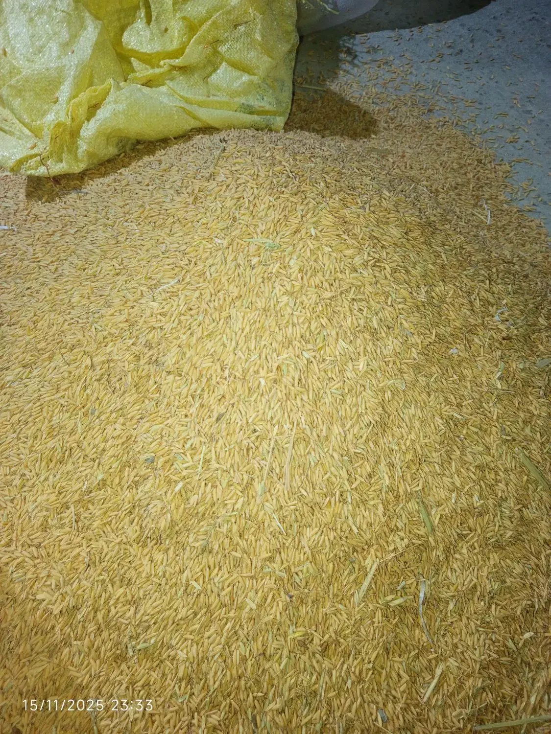 غ برنج|حراج|شیروان (لرستان), |دیوار