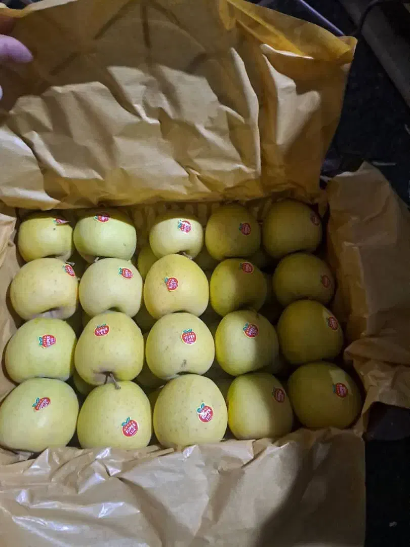 فروش سیب دوردیف|خدمات باغبانی و درختکاری|زیویه, |دیوار