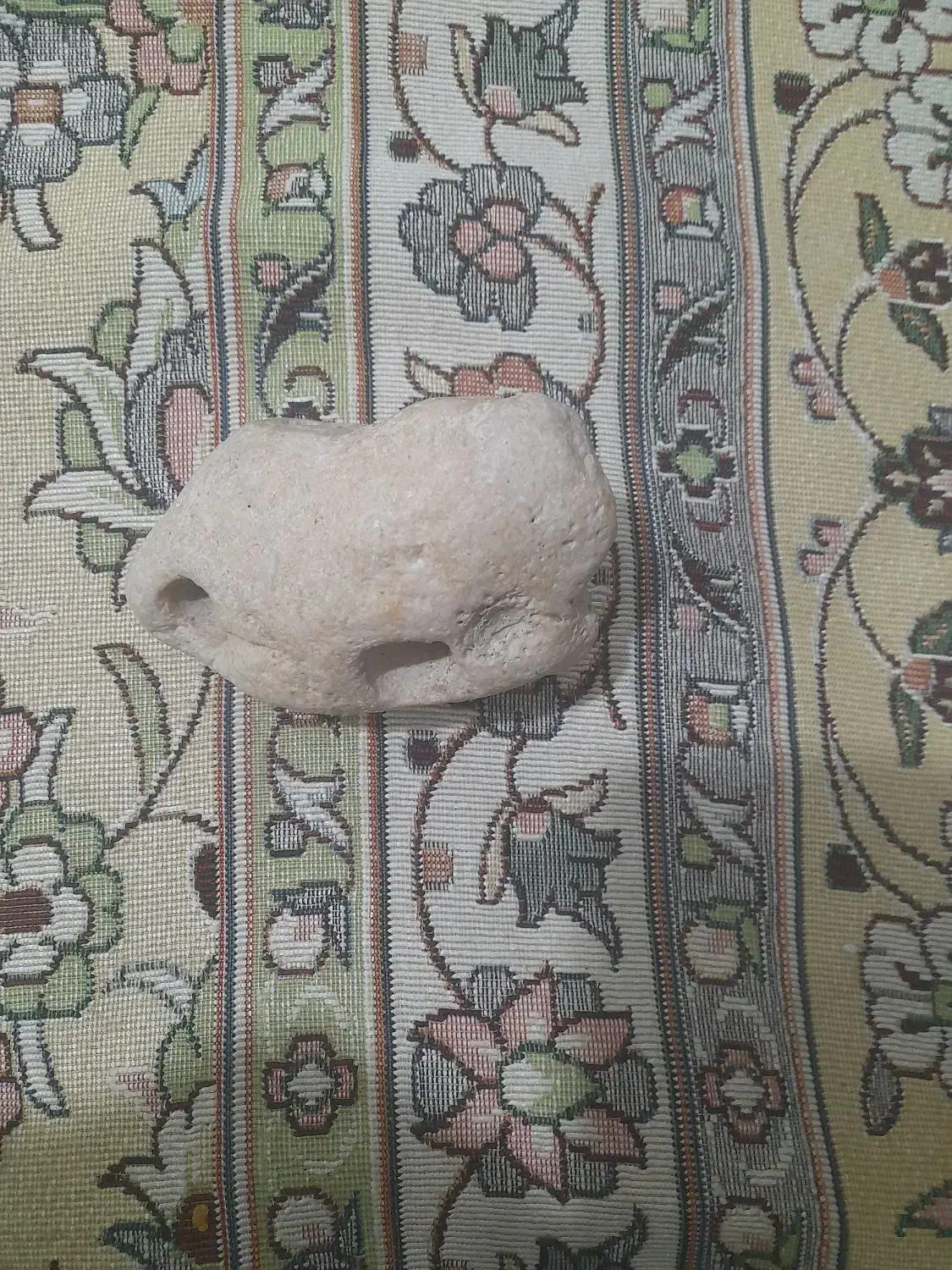 سنگ فسیلی ومرجانی|کلکسیون اشیاء عتیقه|اراک, |دیوار