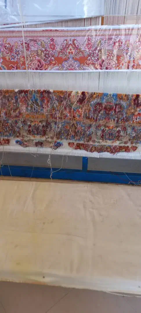 یک جفت شش متری خطیبی رج ۵۲ نیمه کاره|فرش|تبریز, |دیوار