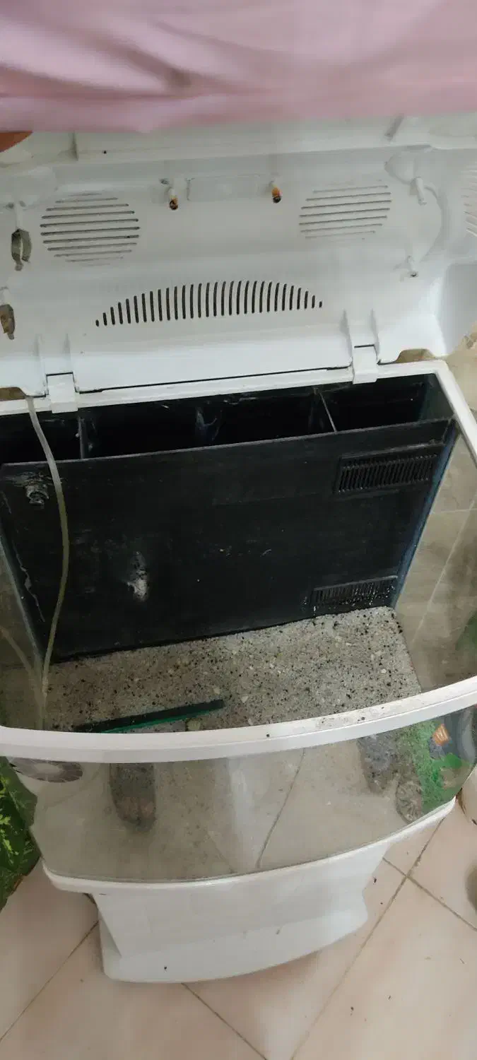 آکواریوم شیشه خم شرکتی ماهیران|ماهی|سقز, |دیوار