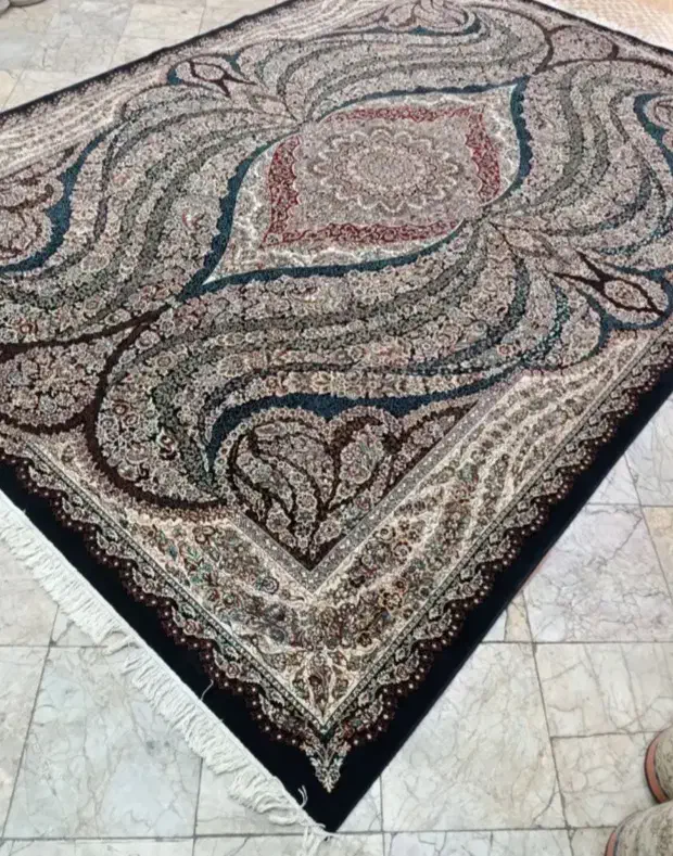 فرش ۱۲ متر ۷۰۰ شانه ۲۲۵۰|فرش|میرجاوه, |دیوار