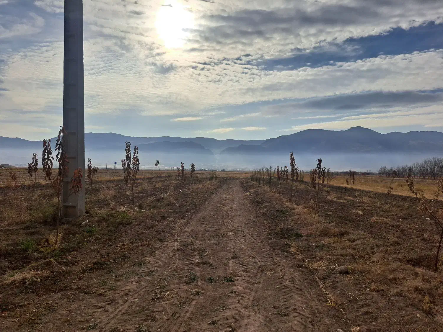 فروش ۳ هکتار زمین کشاورزی آبی|فروش دفتر صنعتی، کشاورزی، تجاری|سیلاخور, |دیوار