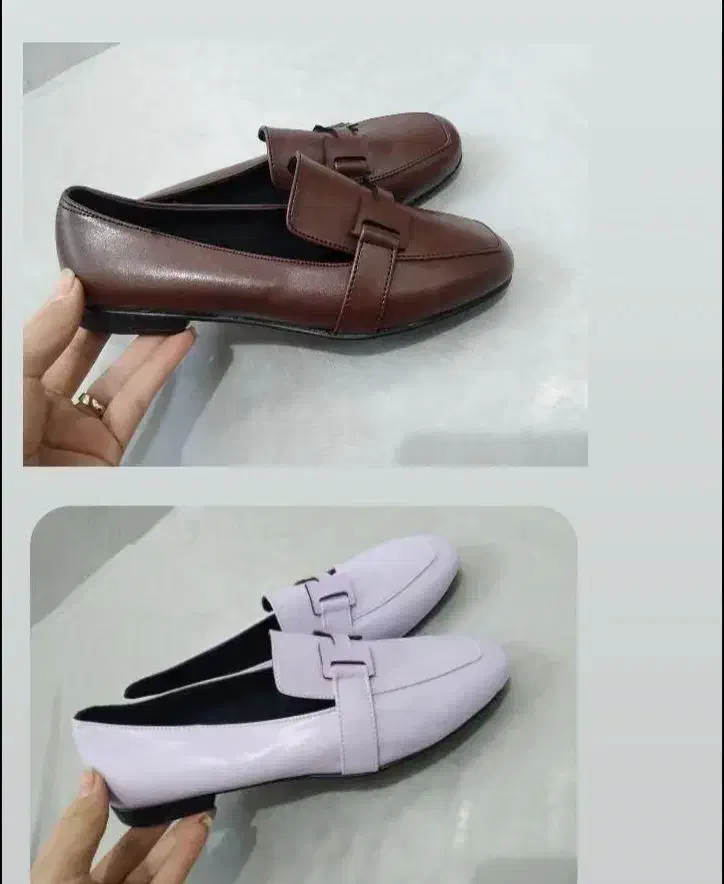 کالج|کیف، کفش، کمربند|آبدانان, |دیوار