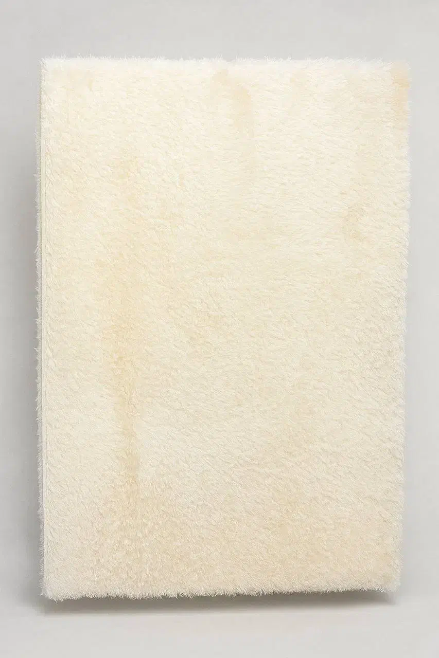 فرش های شگی نرم|فرش|کرمان, |دیوار