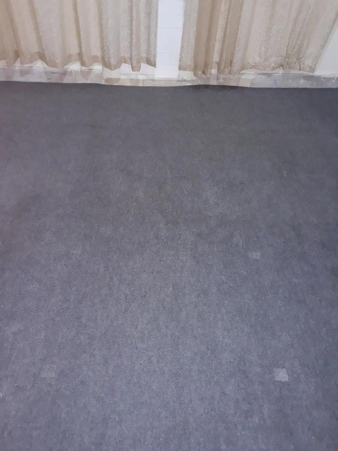 موکت وگبه|موکت|تهران, زعفرانیه|دیوار