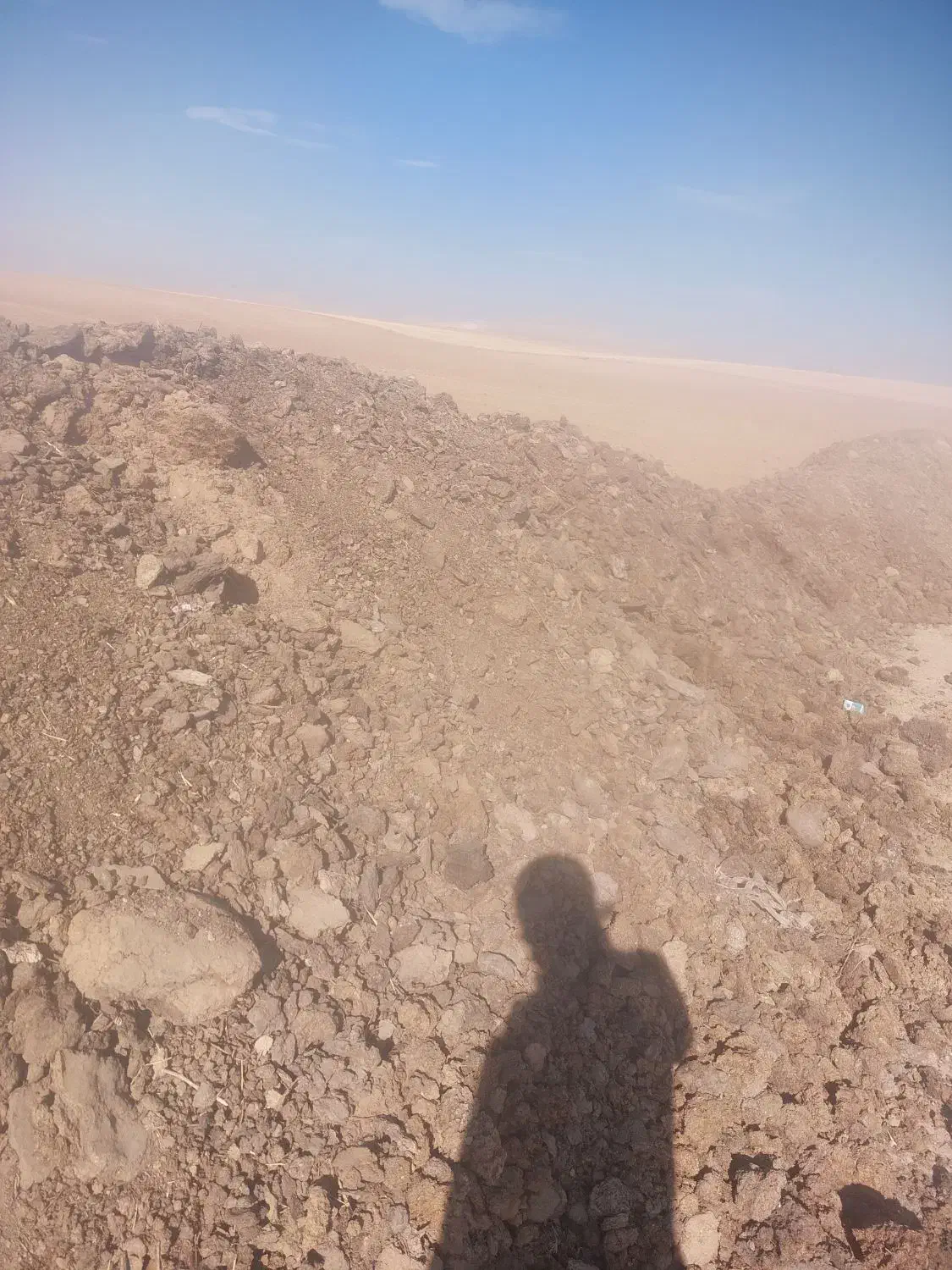 کود دامی خشک|گل و گیاه طبیعی|سردرود, |دیوار