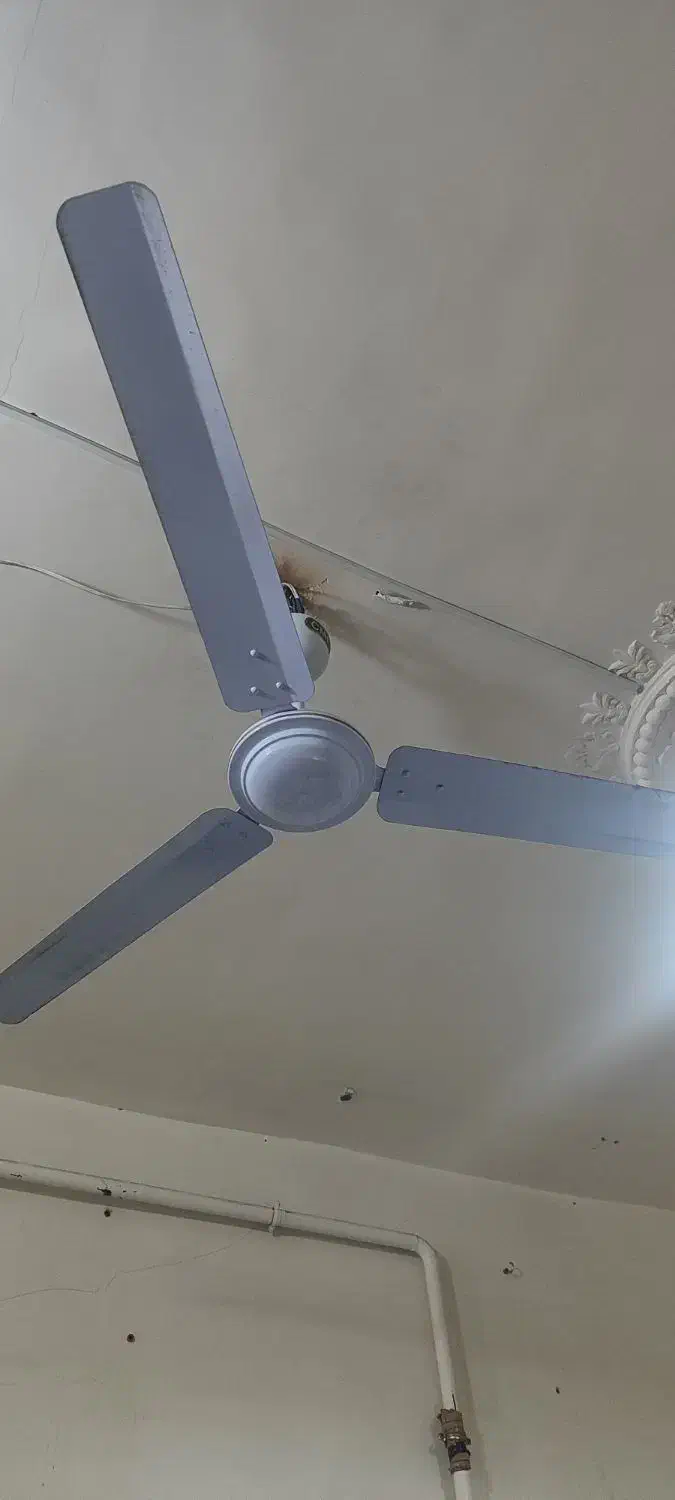 پنکه سقفی|پنکه و تصفیه‌کنندهٔ هوا|تبریز, |دیوار