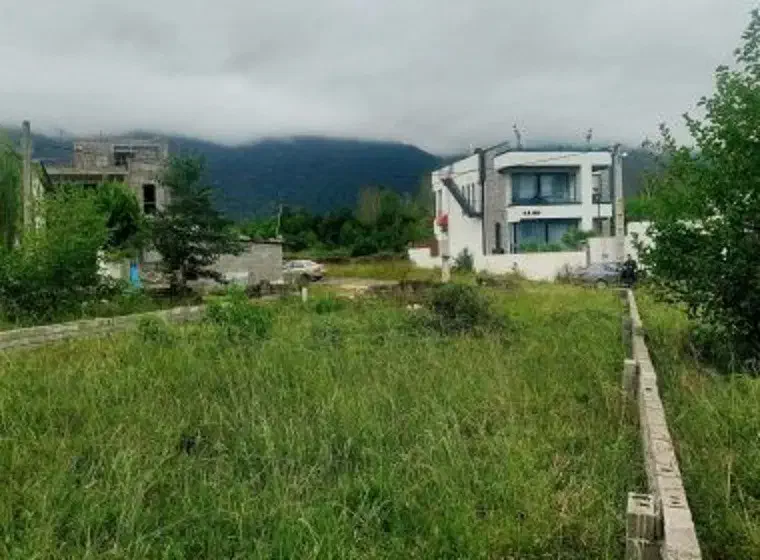 فروش فوری 320متر زمین بافت زرد سندتک برگ با چک|فروش زمین و ملک کلنگی|خرمآباد (تنکابن), |دیوار