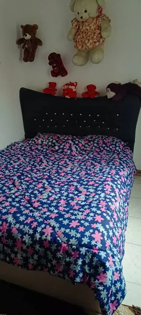 سرویس تخت خواب دو نفره|تخت و سرویس خواب|رشت, پل تالشان|دیوار