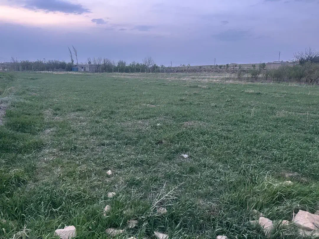 زمین باغی پر آب معاوضه با ماشین و آپارتمان|فروش دفتر صنعتی، کشاورزی، تجاری|همدان, |دیوار