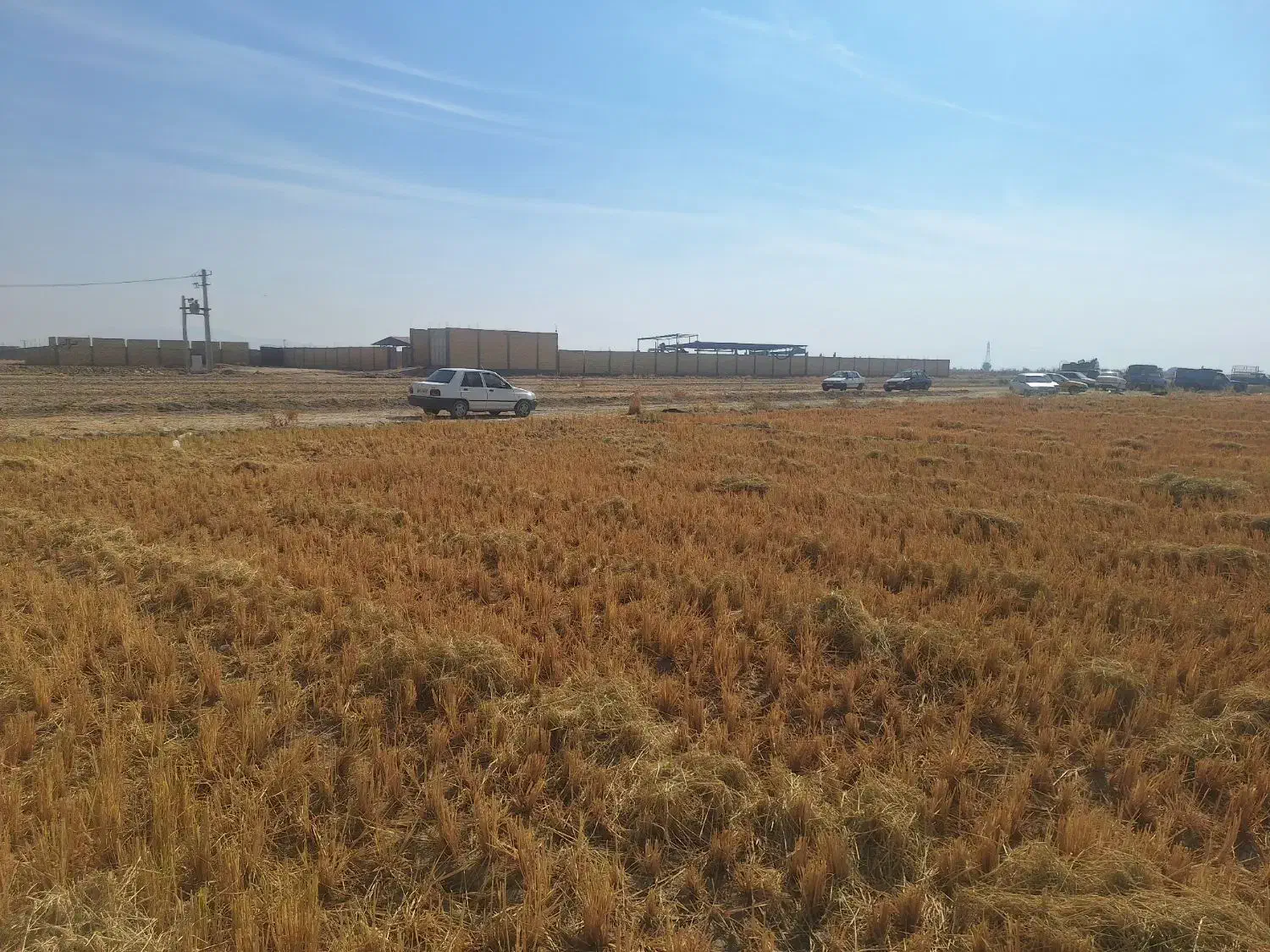 زمین کشاورزی|فروش دفتر صنعتی، کشاورزی، تجاری|درودزن, |دیوار