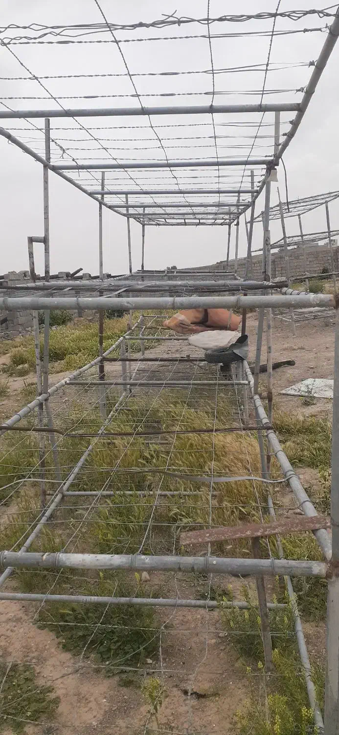 طبقات گانوانیزه تولید قارچ|ماشینآلات صنعتی|فولادشهر, B5|دیوار