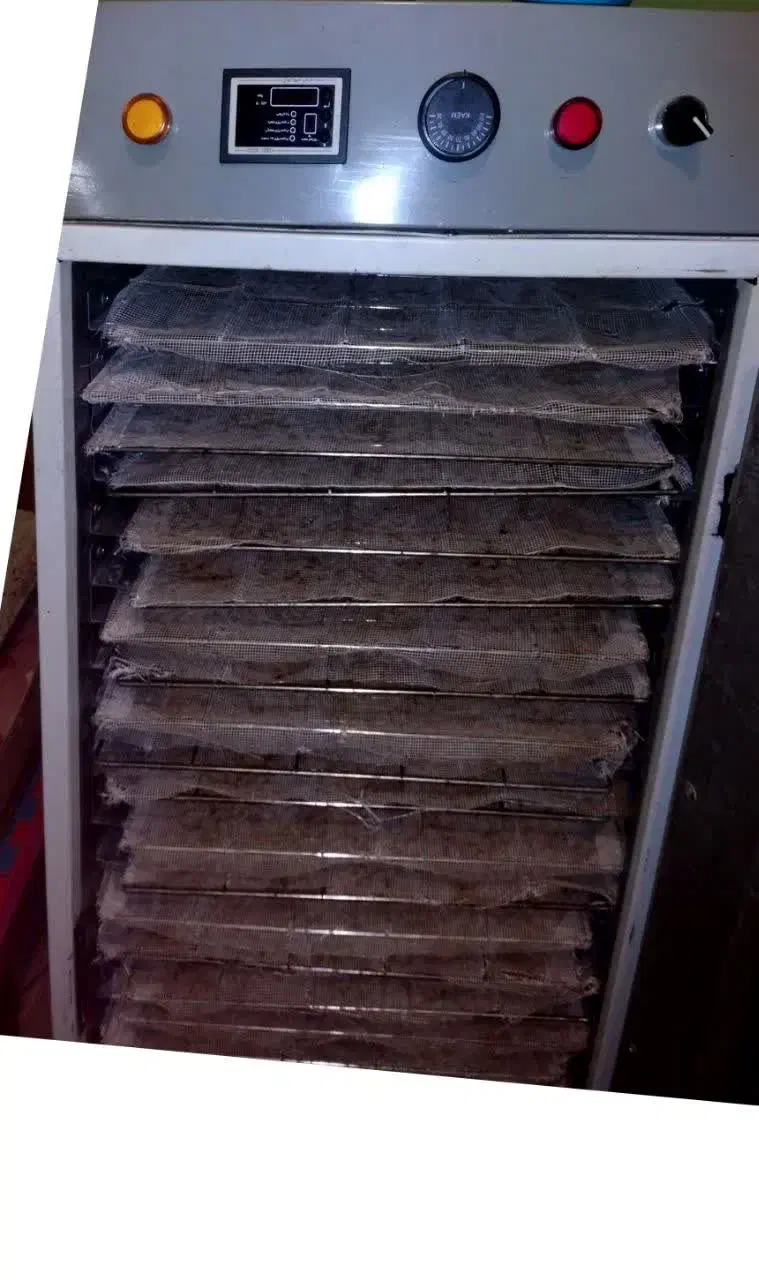 دستگاه میوه خشک کن صنعتی|سایر لوازم برقی|پلدختر, |دیوار