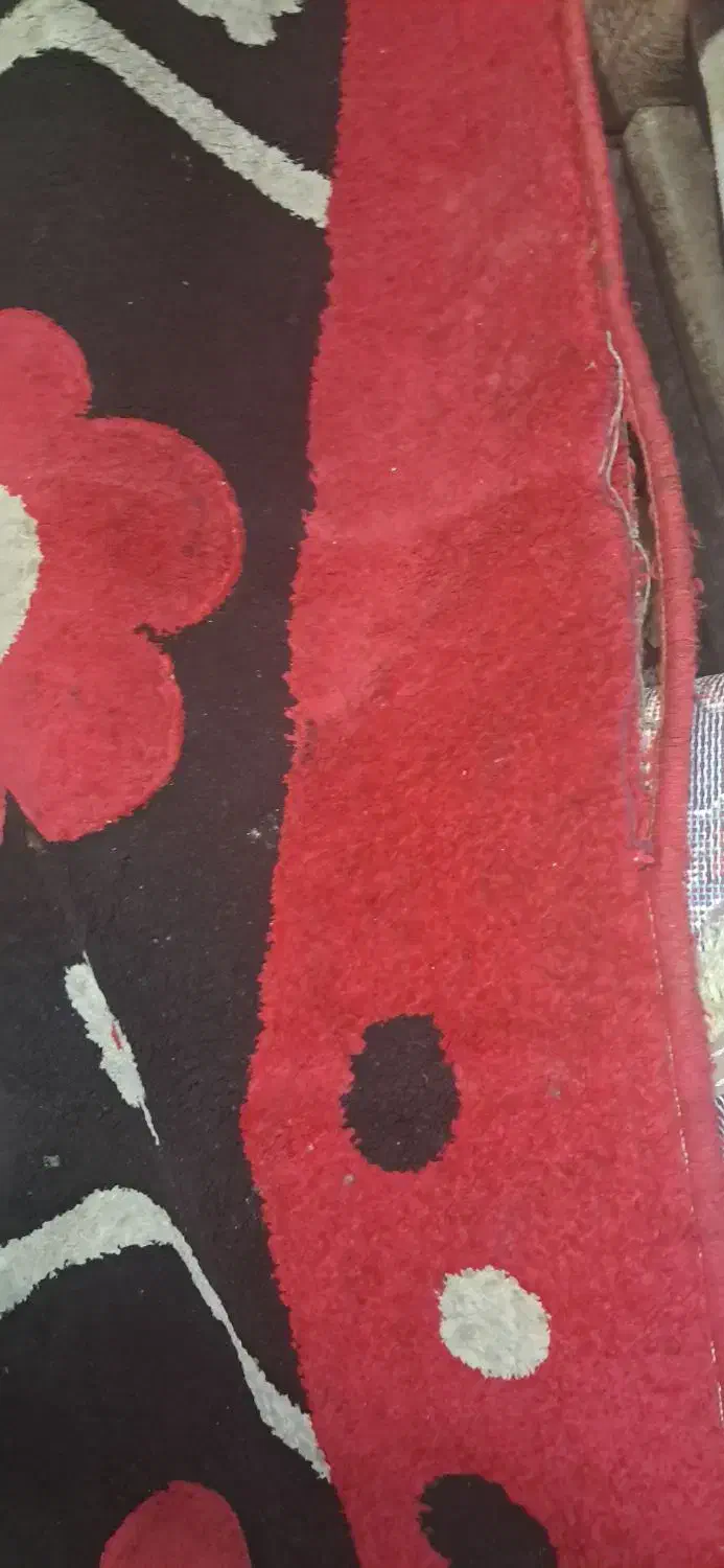 گلیم فرش  چهار متری|گلیم، جاجیم، گبه|شیراز, گویم|دیوار