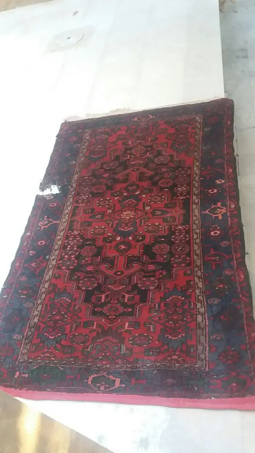 فرش دستبافت دست دوم|فرش|زنجان, |دیوار