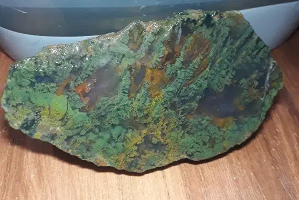 سنگ شجر|کلکسیون اشیاء عتیقه|سنندج, |دیوار