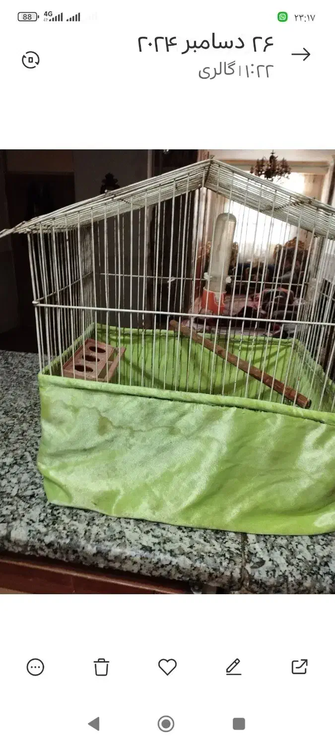 انواع قفس|لوازم جانبی حیوانات|قدس, شهر‌قدس|دیوار