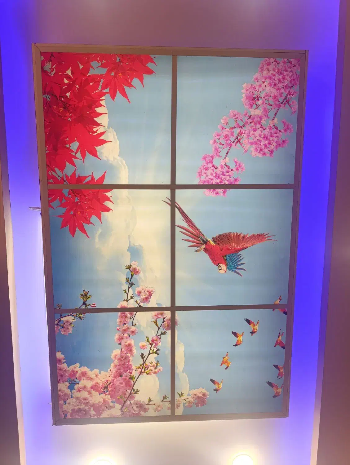 آسمان مجازی|ریسه و چراغ تزئینی|لاهیجان, لیل|دیوار