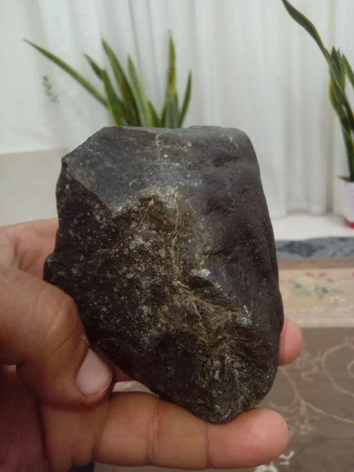 شهاب سنگ|کلکسیون اشیاء عتیقه|تربت‌حیدریه, پائین ولایت|دیوار