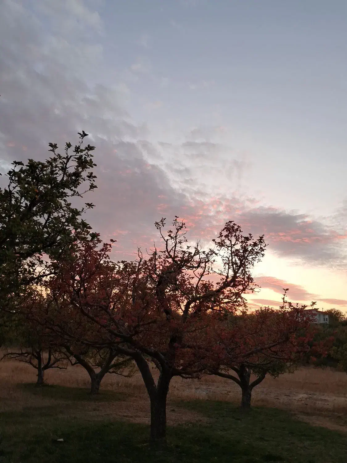 دعانویس در روستا خانقاه یا قره عاج میخوام|فعالیت داوطلبانه|کندوان, |دیوار