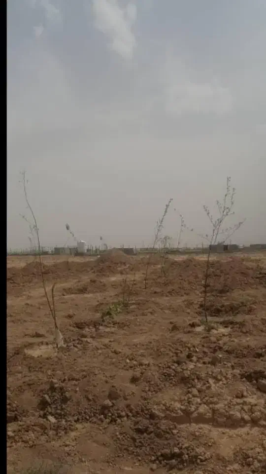 باغی زمین1070متری|فروش زمین و ملک کلنگی|شاهین‌شهر, گرگاب|دیوار