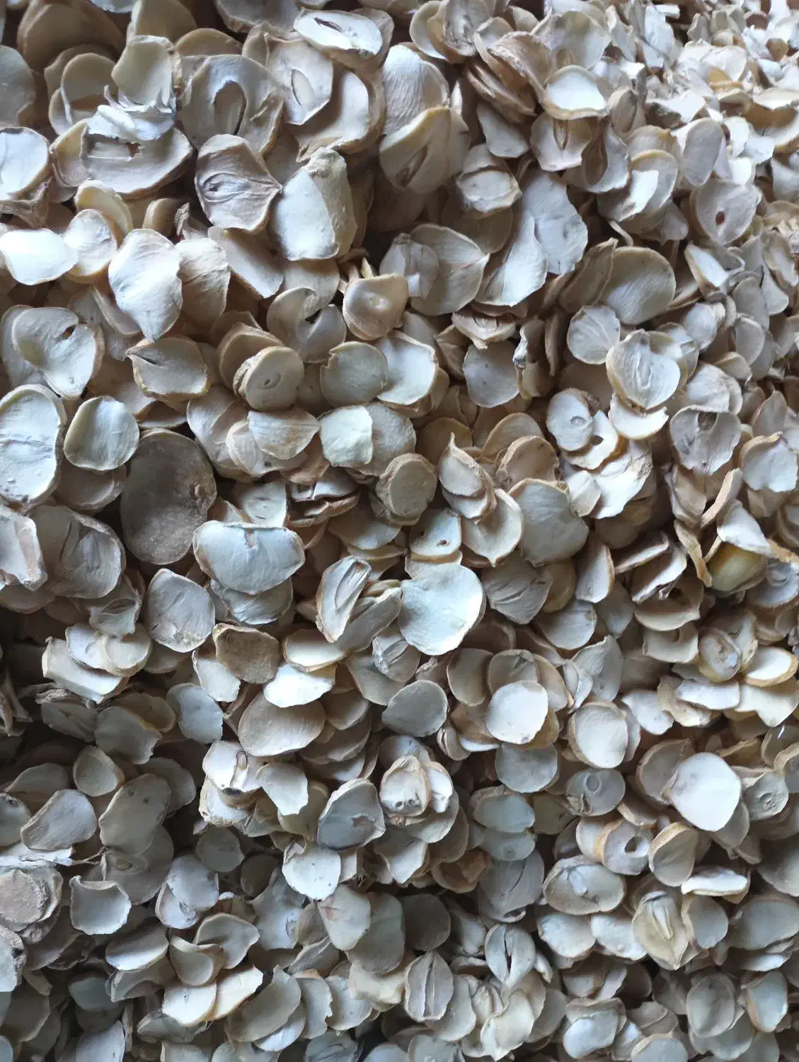 موسیر اعلای همدان|خوردنی و آشامیدنی|ری, علایین|دیوار