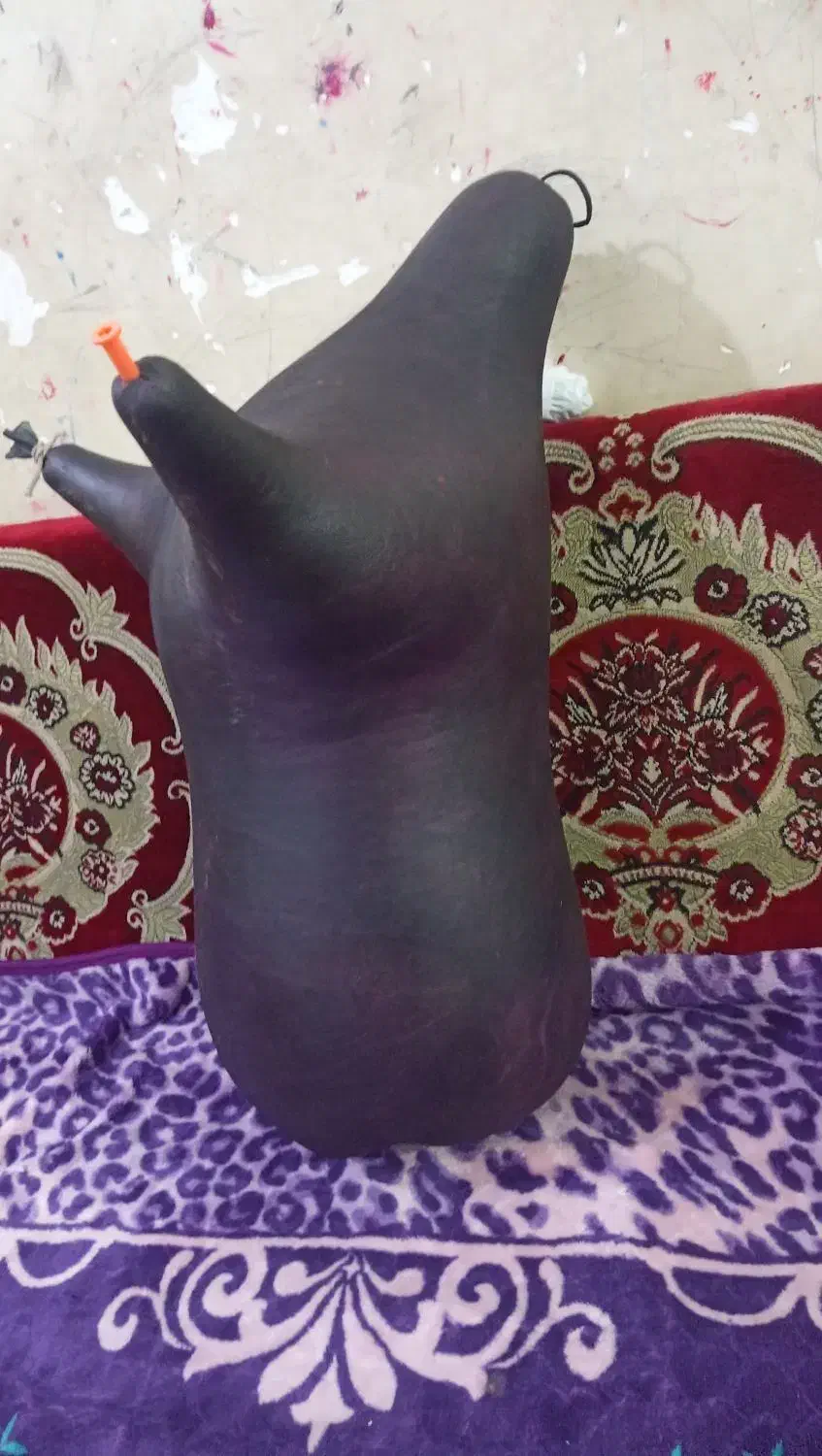 نی انبان|سازهای بادی|آبادان, |دیوار