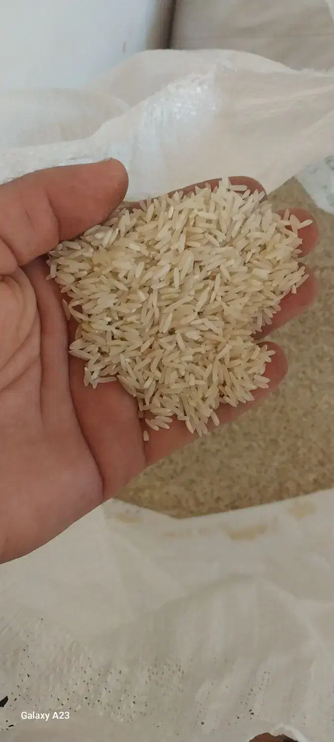 برنج طارم و ضیغمی شیروان|خوردنی و آشامیدنی|کارزان, |دیوار