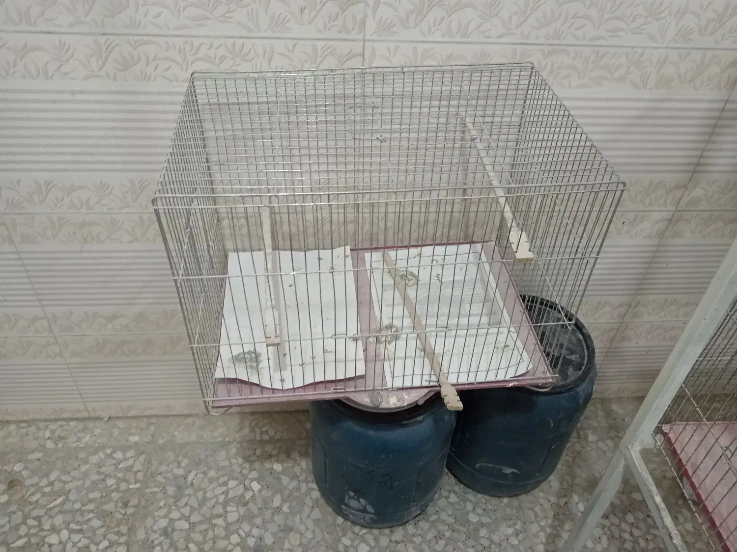 قفس و رگال پرندگان|لوازم جانبی حیوانات|نجف‌آباد, جعفرآباد|دیوار