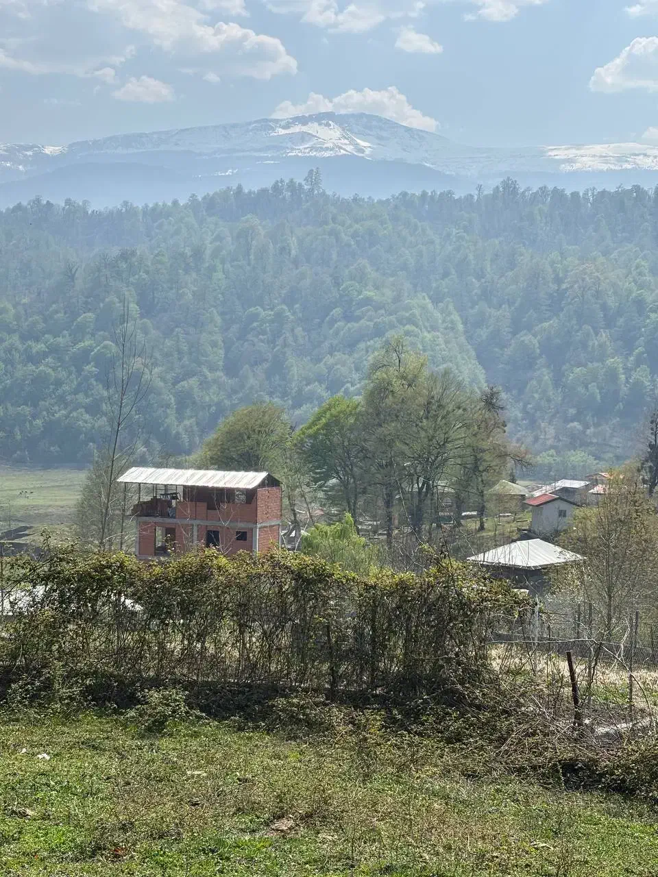 زمین فروشی|فروش زمین و ملک کلنگی|آلاشت, |دیوار