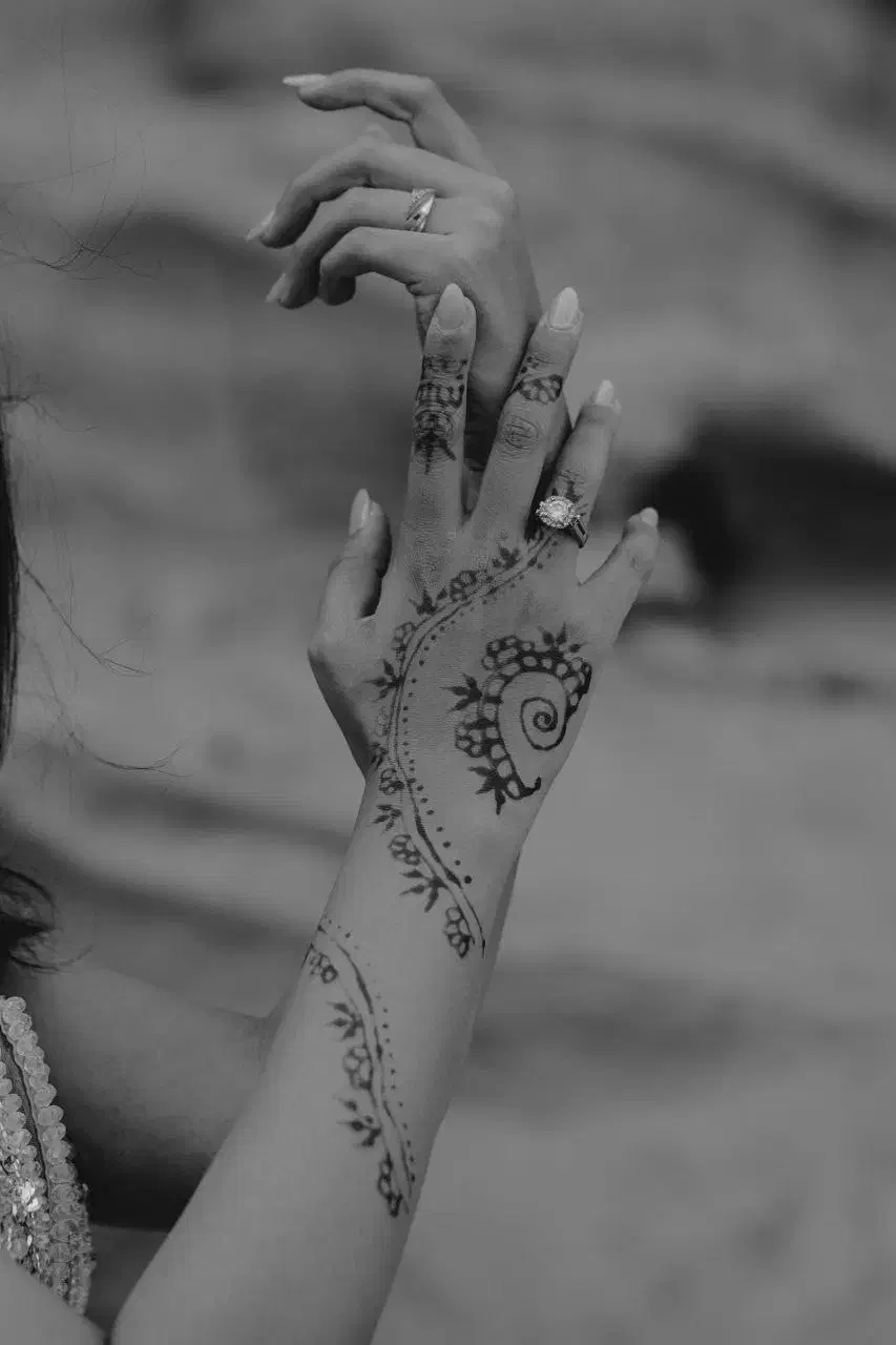 فرمالیته قشم  هجده میلیون|خدمات پذیرایی، مراسم|قشم, |دیوار