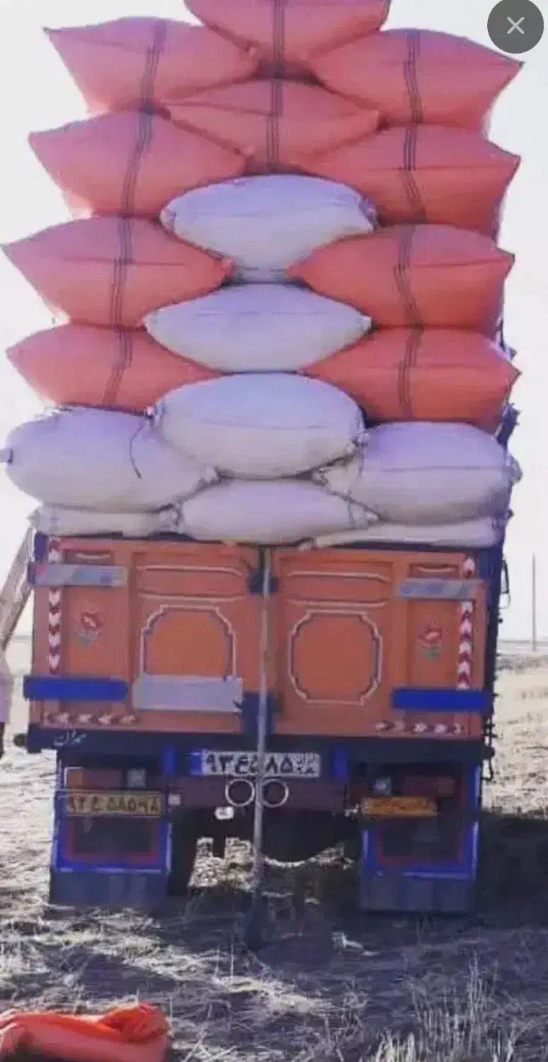 کاه گندم|حیوانات مزرعه|چرداول, |دیوار