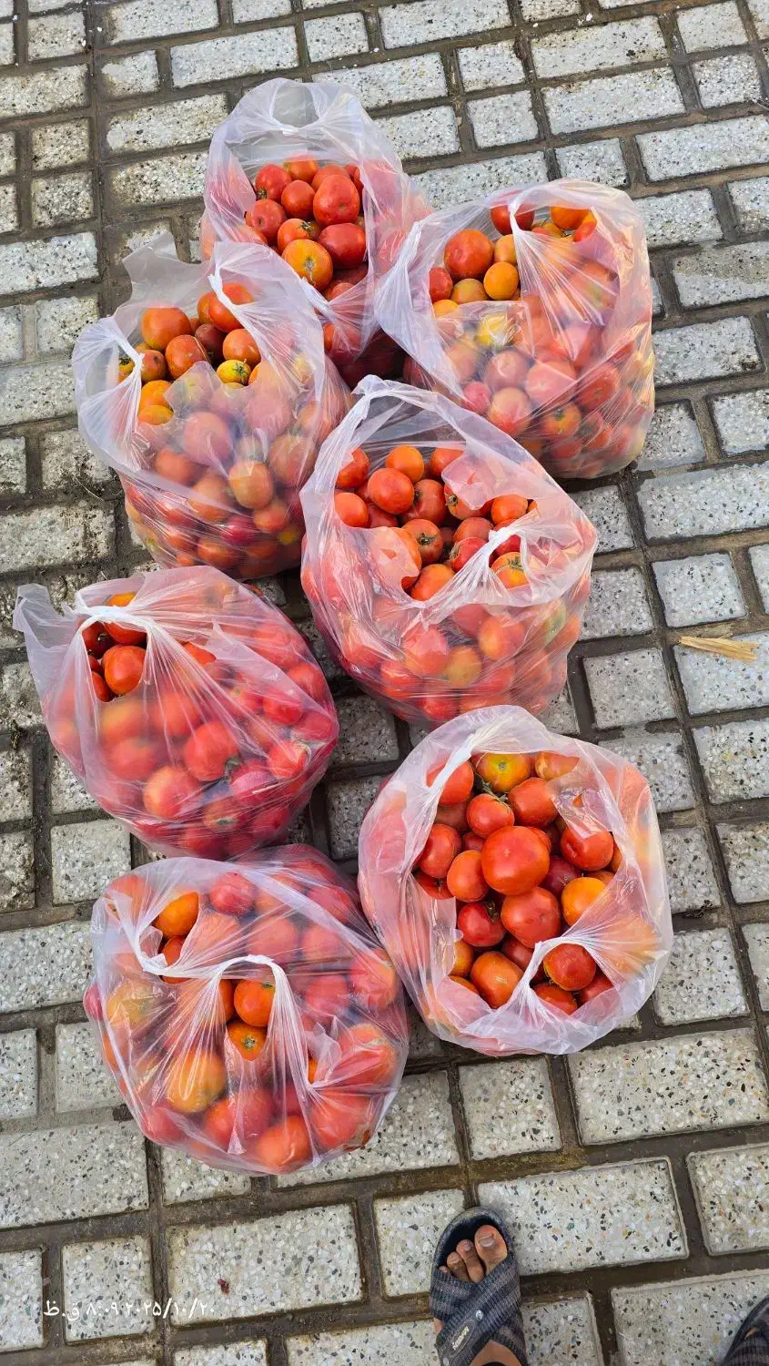 گوجه ربی|خوردنی و آشامیدنی|خنجین, |دیوار